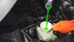 does head gasket sealer work?