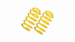 st suspensions sport springs