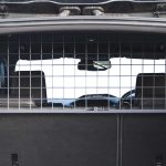 ford focus dog guard