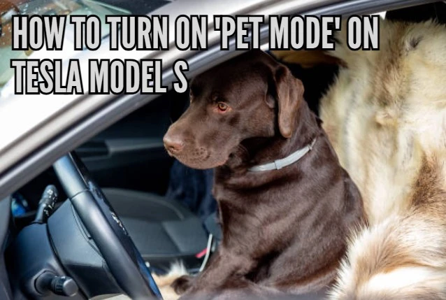 How to turn on 'Pet Mode' on Tesla Model S