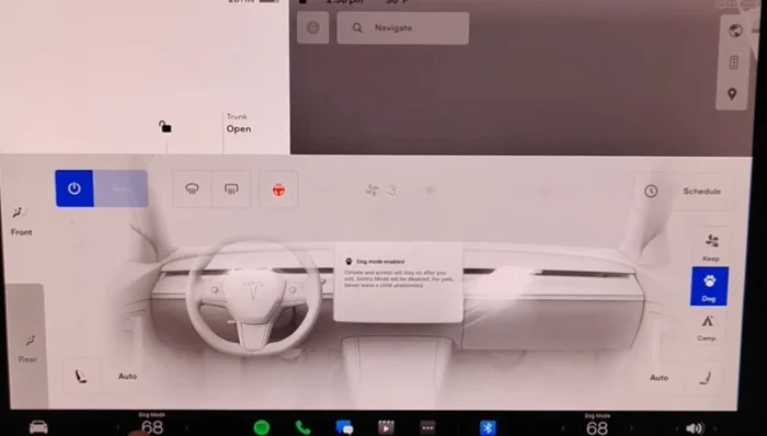 dog mode on on tesla display setting car